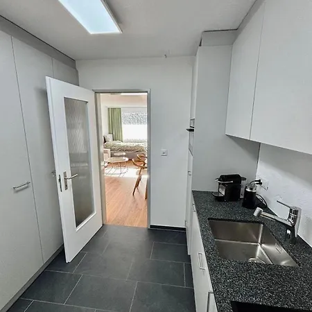1-room - Newly Renovated And 达沃斯