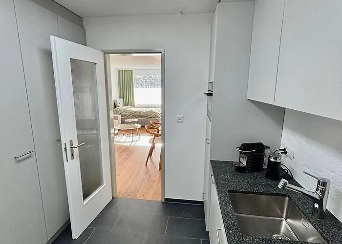 1-room - Newly Renovated And 达沃斯